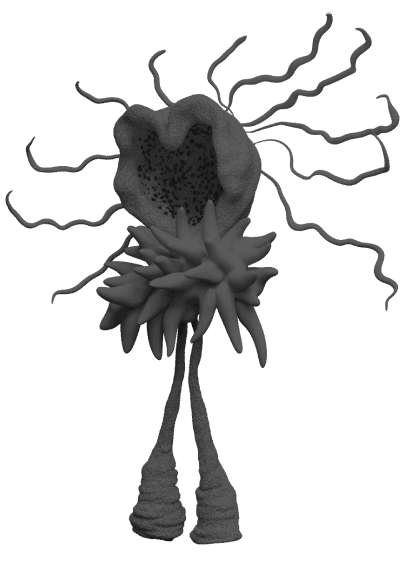A creature with legs with no feet, spikes for hands and instead of a face it has a heart-shaped opening to a hollow shell. From the back of its head tentacles stick out like hair.