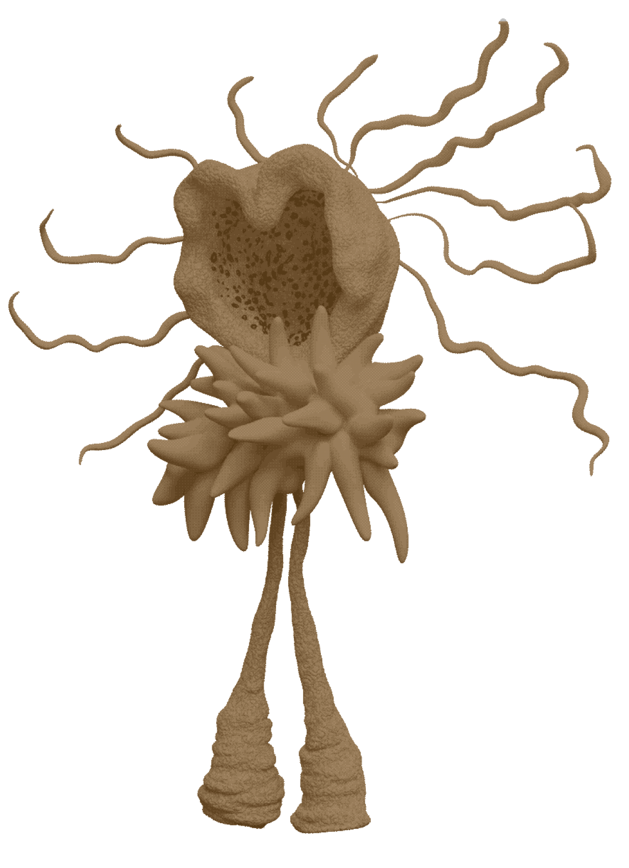 A creature with long legs with no feet, spikes for hands and instead of a face it has a heart-shaped opening to a hollow shell. From the back of its head tentacles stick out like hair.
